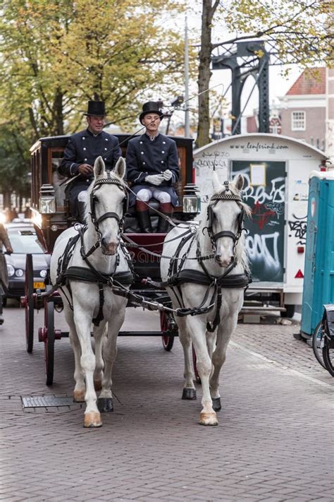 tuxedo in amsterdam.